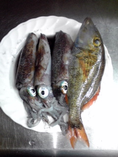 釣果