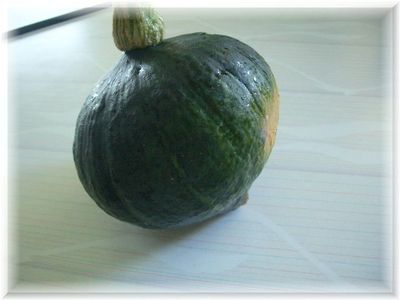 自家製お野菜♪