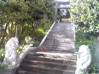 沖縄日記その２