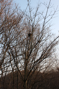 公園散歩