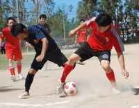 tamocup 2011 フォトギャラリー①