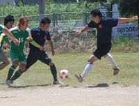 tamocup 2011 フォトギャラリー②