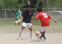 tamocup 2011 フォトギャラリー②