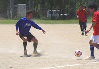 tamocup 2011 フォトギャラリー①