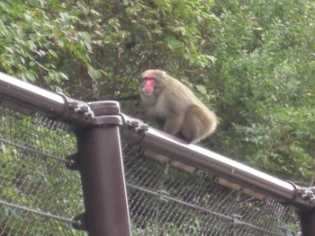 北陸の旅♪