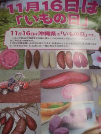 11月16日は「いもの日」！！