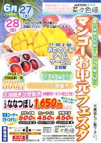 マンゴーお中元フェスタ！！！