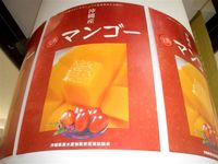 マンゴー初売り式＆豊見城市「マンゴーの里」宣言