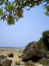 無人島　岡波島でイノー散策！！