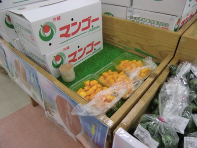 菜々色畑・マンゴーフェスタ