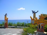 知念海洋レジャーセンターの一番人気はコマカ無人島！！