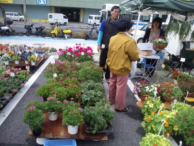 花と食のフィスティバル2012
