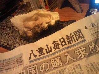 石垣からの幸せ