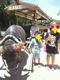 石垣島パート３ 2011/08/14 23:13:44