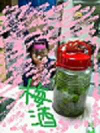 梅酒