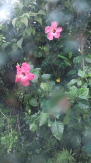 考えてみるとこんなに時間が経ってる(;´Д`A ``` 2011/05/17 16:45:54