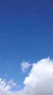 明けました♪おめでとう☆ 2011/06/10 23:08:24