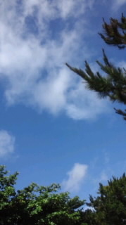 ウラオモテないない(笑) 2011/06/20 09:05:52