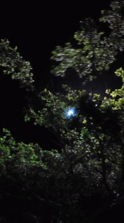 散歩Deねごと☆ 2011/06/22 21:00:00