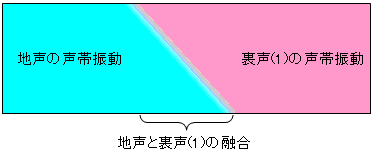 うたうこと　(fin)声区の融合