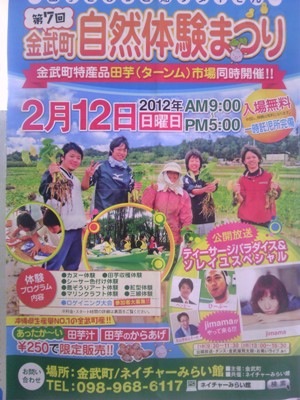 うみぶどう　明日は今帰仁城さくらまつり　夜まで漂着します！