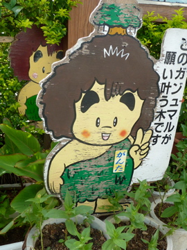 2人称 2日目　ゆいまーる市　双子的な写真沢山あります？
