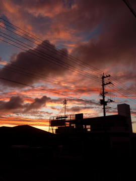 昨日は夕日が見えましたが今日は・・・・。