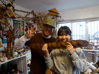 さまざまなひとつぶのたね