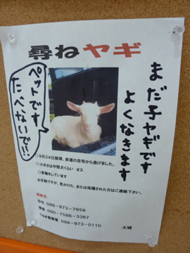 やぎの冒険の良く出来ていた話。監督のサイン付き