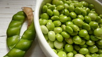 今が旬！まめ狩り体験出来ます！期間限定(あるときだけ） 2011/11/13 19:59:35