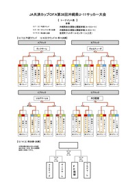 JA共済カップ県大会 3日目対戦表