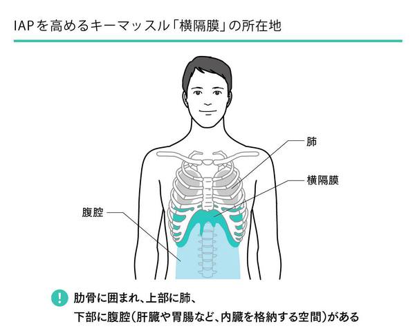 スタンフォード式疲れない体 その1 Iap メソッド 宇栄原fc