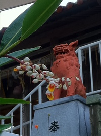 花のお宮を守ります！ 2014/05/24 07:39:21