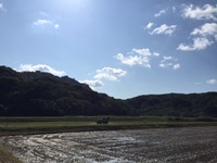 西表安心米☆新米が届きました！ 2016/07/28 16:59:11