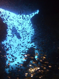 流れあり 2015/10/30 17:04:52