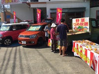 今年の野菜高いよね〜。
