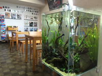 7月のお休み 2016/07/15 18:20:07