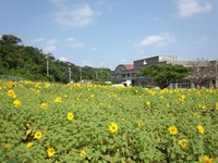 ３月ですね 2013/03/01 13:10:59