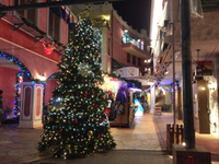 9時より営業 2014/12/20 06:18:34