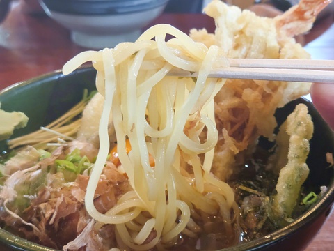 うどん飩棒 うどん飩棒
