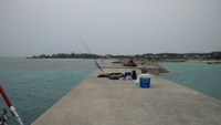 マイポイント…(^o^ゞ 2011/05/07 09:41:47