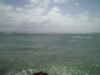 タマンGET…………(^○^) 2012/02/06 13:41:46