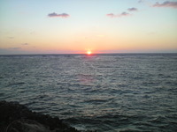 早く夏を終れ……(-_-#) 2011/09/04 09:14:01