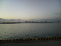 デカ烏賊……(+_+) 2011/02/03 13:21:54