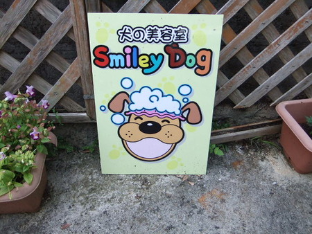 Ｓｍｉｌｅｙ　Ｄｏｇ