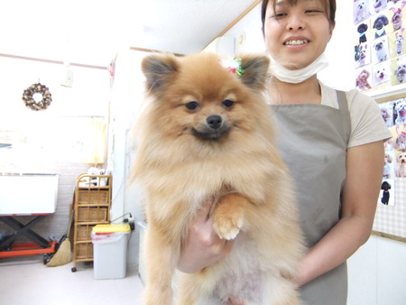 Ｓｍｉｌｅｙ　Ｄｏｇ