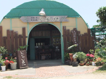 青空喫茶　八風畑