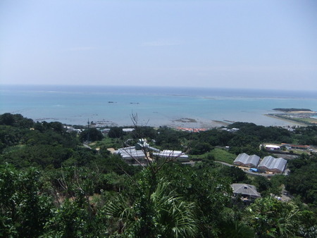 青空喫茶　八風畑