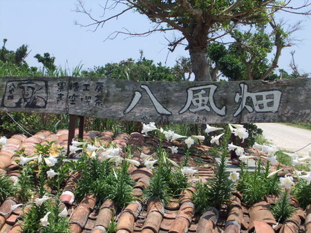 青空喫茶　八風畑