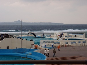 沖縄ちゅら海水族館は沖縄家族旅行にはおすすめ！